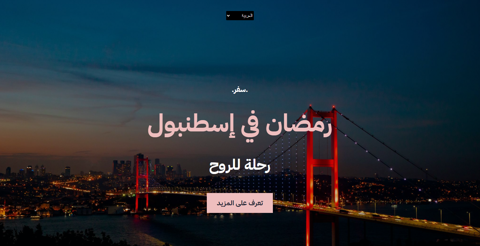 Travel project image